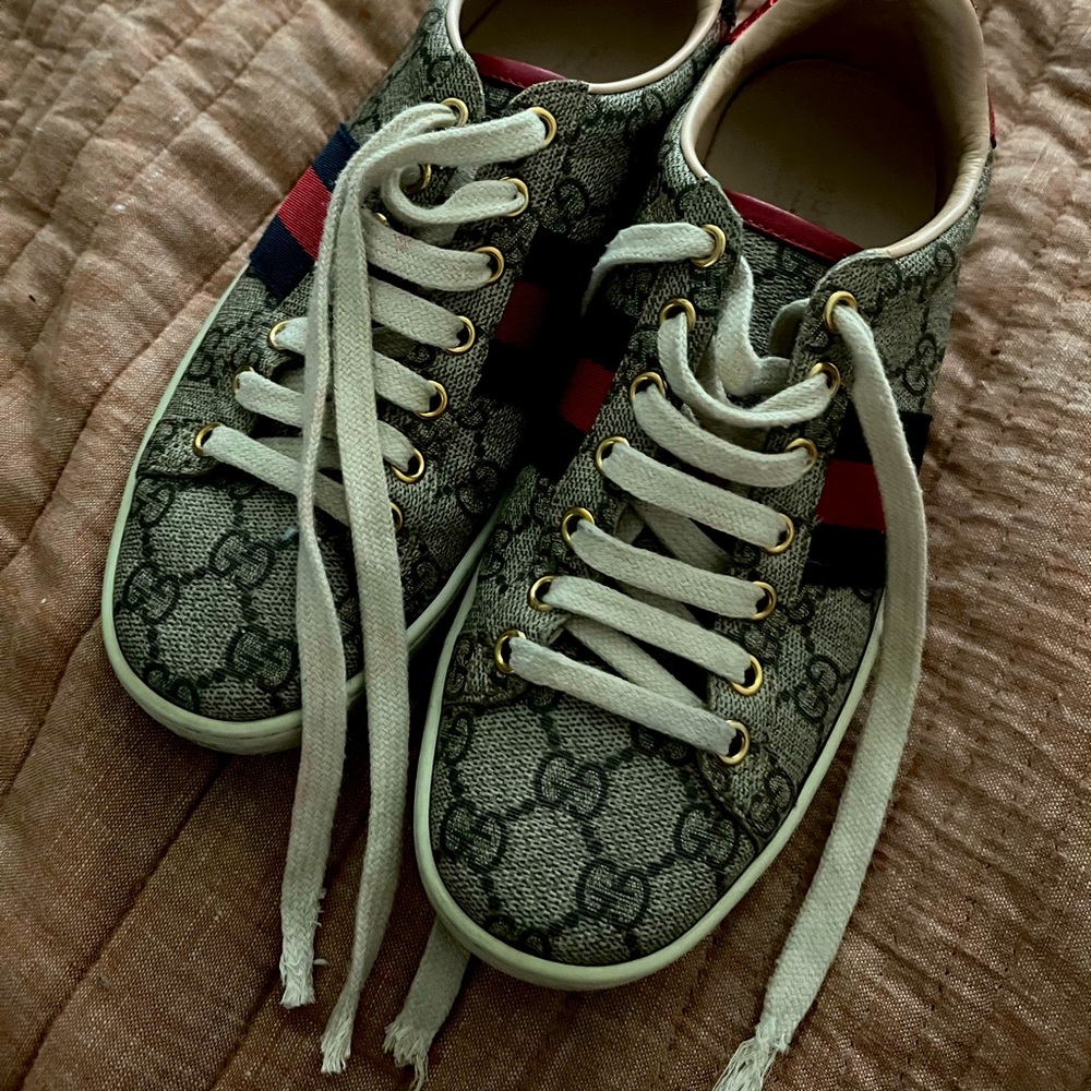 laces have are chewed from the end from my dog besides that good shape